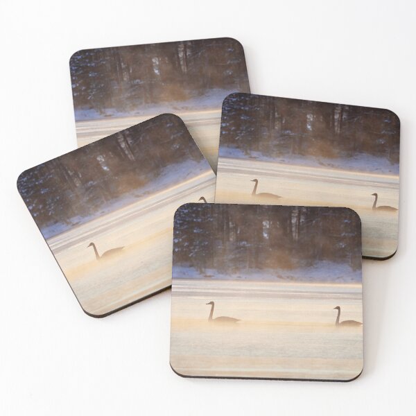 Item preview, Morning glory for the young ones. Whooper swan designed and sold by Jouko Lehto Photography.