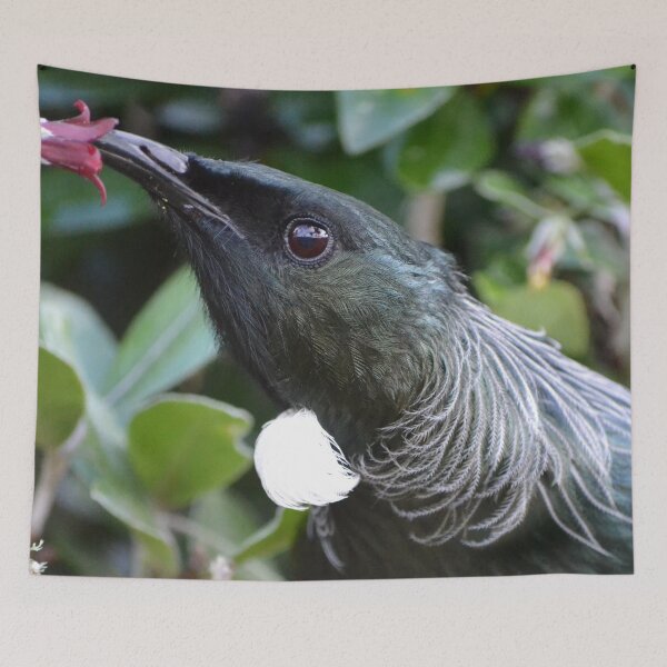 Item preview, Close-up Tui feeding on a flower designed and sold by lizdomett.