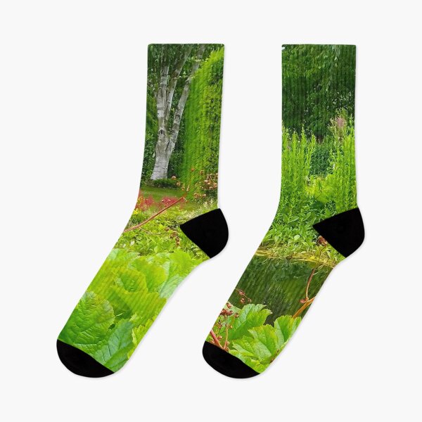Artikelvorschau, Grüne Schirmpflanzenblätter mit roten Samenstielen in der Nähe eines Teiches und zwei Birken dahinter. entworfen und verkauft von claireseyeview.