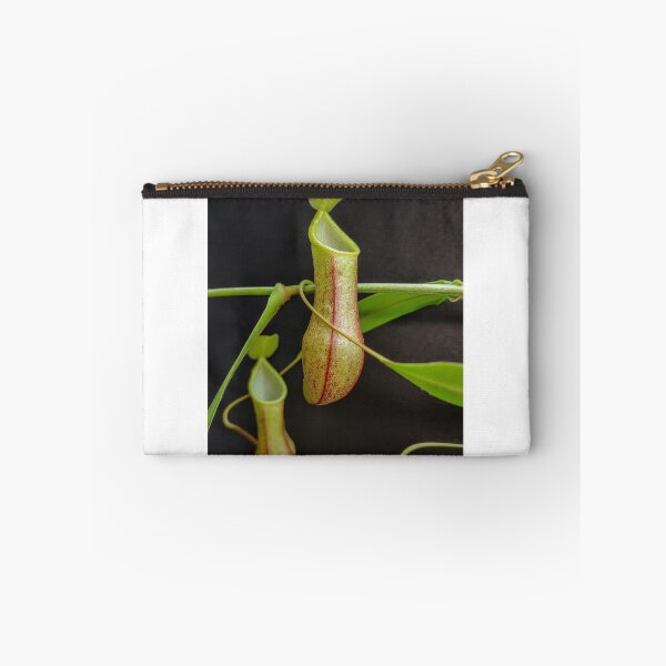 Item preview, Nepenthes species tobaica  designed and sold by Deathplant.