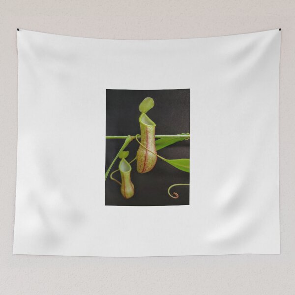 Item preview, Nepenthes species tobaica  designed and sold by Deathplant.