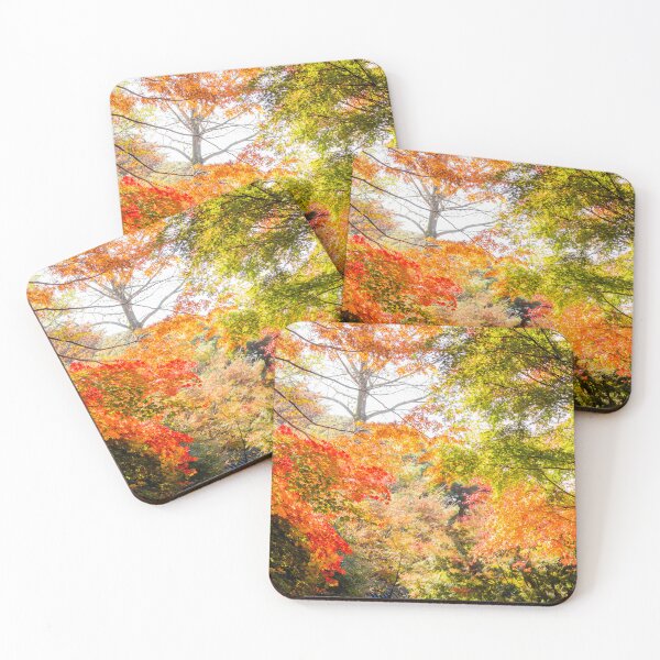 Item preview, Autumn Colors designed and sold by elixandre.