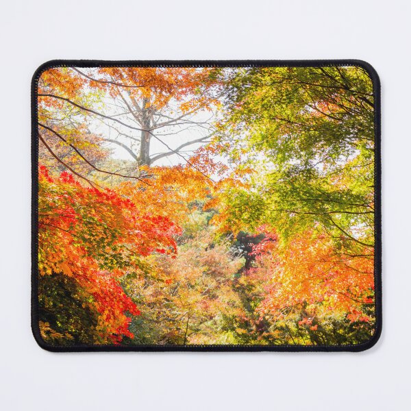 Item preview, Autumn Colors designed and sold by elixandre.