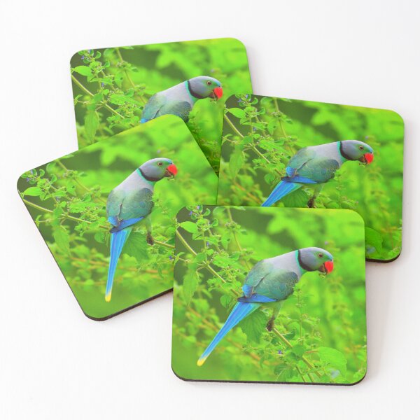 Item preview, Indian Ringneck Parakeet designed and sold by oxyten.