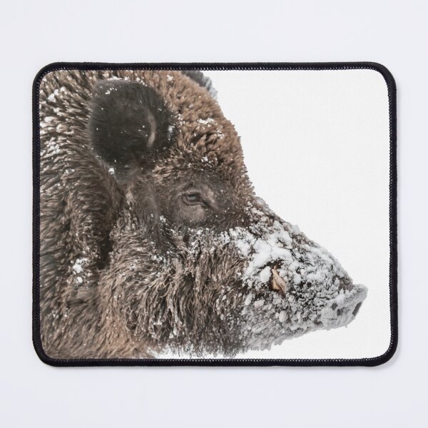 Item preview, boar head designed and sold by Ingo Gerlach.