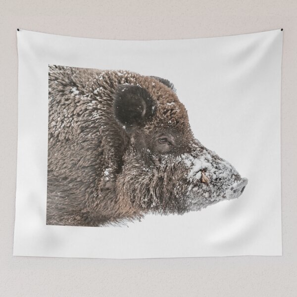 Item preview, boar head designed and sold by Ingo Gerlach.