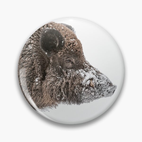 Item preview, boar head designed and sold by Ingo Gerlach.