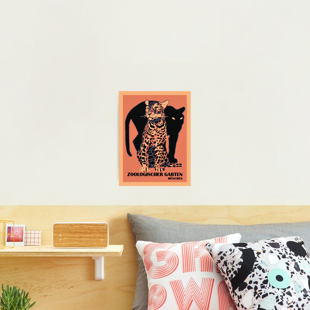 Retro vintage Munich Zoo big cats Photographic Print