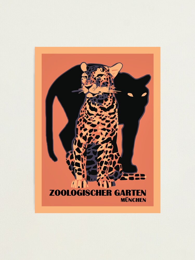 Alternate view of Retro vintage Munich Zoo big cats Photographic Print