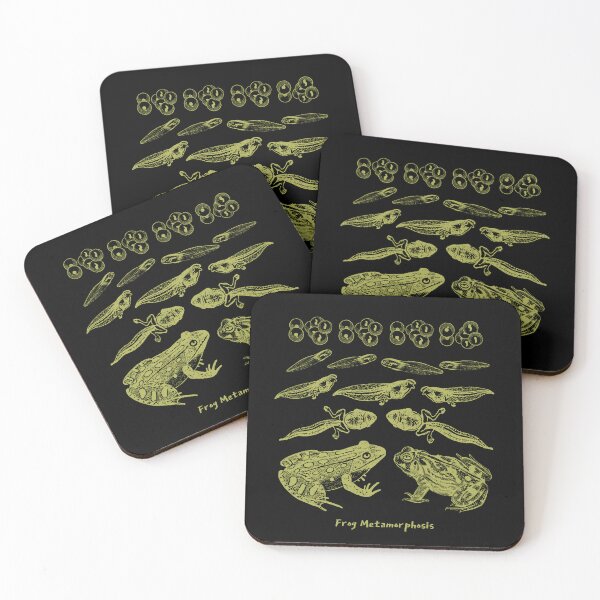 Item preview, Vintage Frog Life Cycle Design: Toad Tadpole Metamorphosis for Biology and Natural History Lovers designed and sold by MinistryOfFrogs.