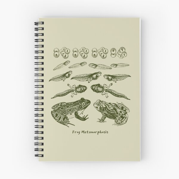 Item preview, Vintage Biology: Frog Life Cycle Metamorphosis from Toad to Tadpole for Science Lovers and Natural History Enthusiasts designed and sold by MinistryOfFrogs.