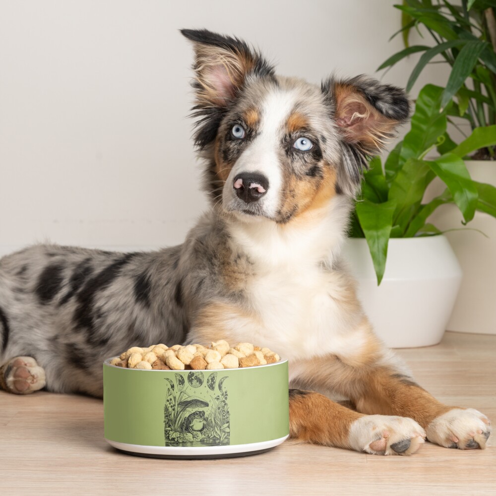 Item preview, Pet Bowl designed and sold by MinistryOfFrogs.