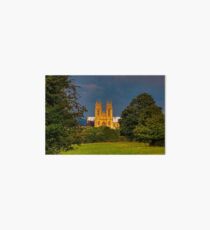 beverley minster Art Board
