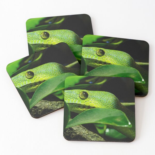 Item preview, Green tree python close-up on tree branch, Morelia viridis. designed and sold by LubosChlubny.