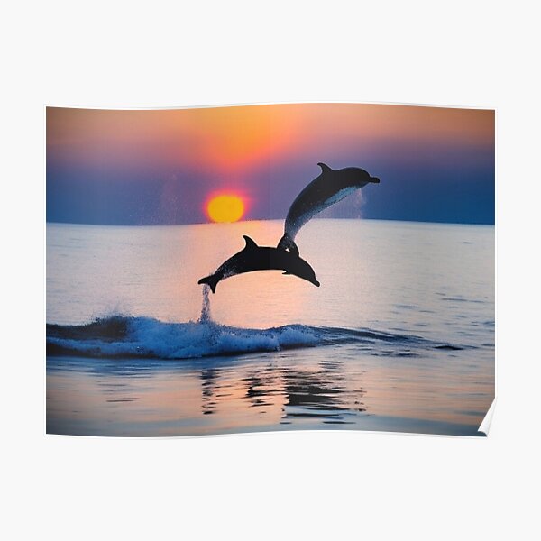 Dolphins Jumping Border Hawaiian Shirt