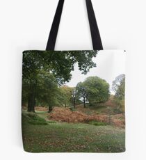 Powerscourt in autumn Tote Bag