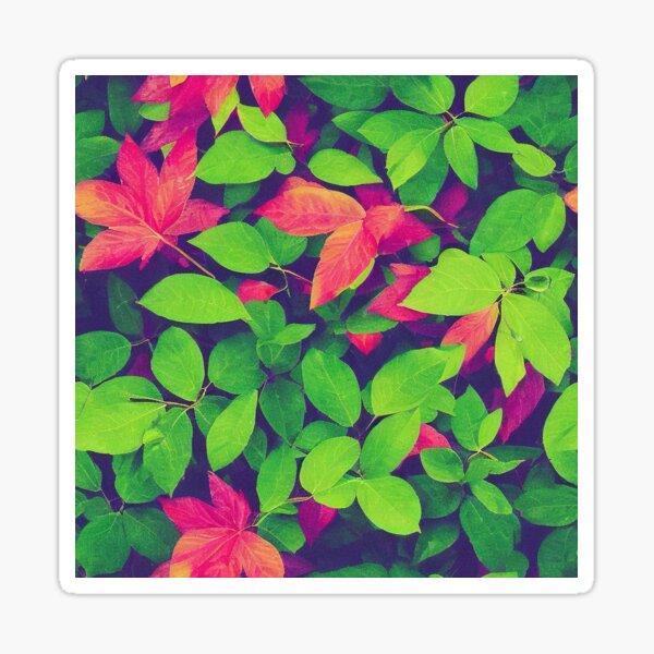 Item preview, Leaves in different shapes 21 designed and sold by hendrikspix.