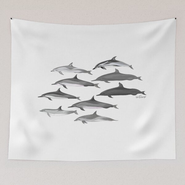 Item preview, Stenella species  designed and sold by Ida Eriksson.