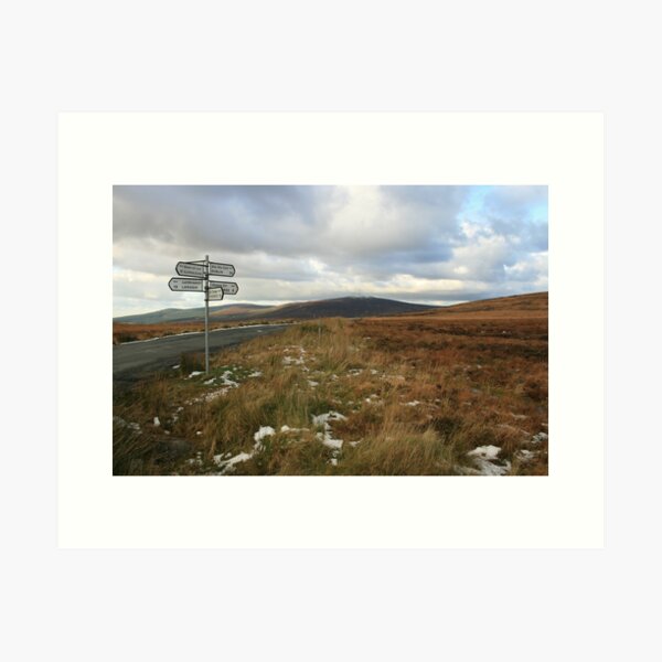 Sally Gap Art Print
