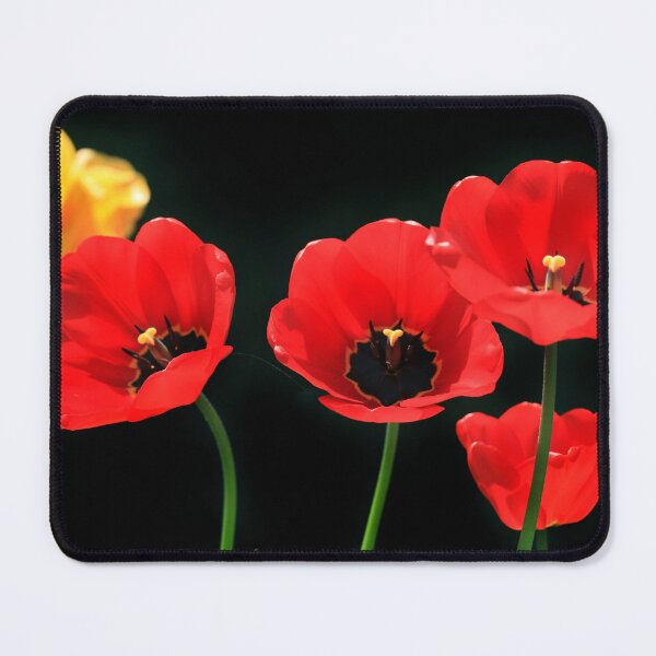 Item preview, Colorful tulips on black background designed and sold by olena2552.