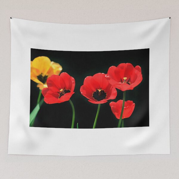 Item preview, Colorful tulips on black background designed and sold by olena2552.