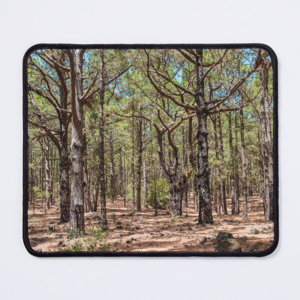 Item preview, Forest landscape photography  designed and sold by ohaniki.