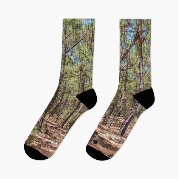 Item preview, Forest landscape photography  designed and sold by ohaniki.