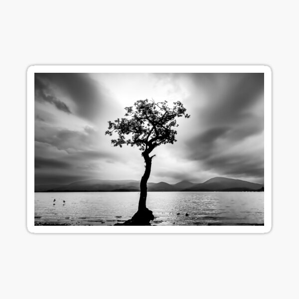 Item preview, Lone Tree, Milarochy Bay, Loch Lomond, Scotland designed and sold by GoPhotoEscape.