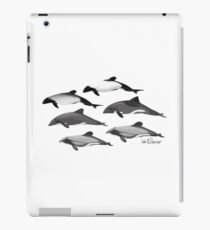 Cephalorhynchus species iPad Case/Skin