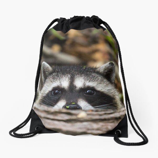 Peering Raccoon Drawstring Bag