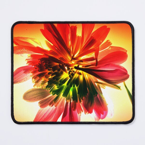 Item preview, Orange flower designed and sold by Paws and Ink Art.