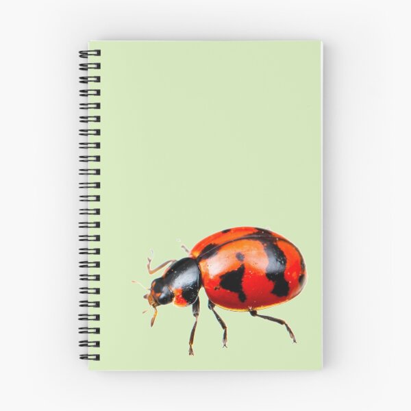 Item preview, Ladybird designed and sold by ArthroLove.