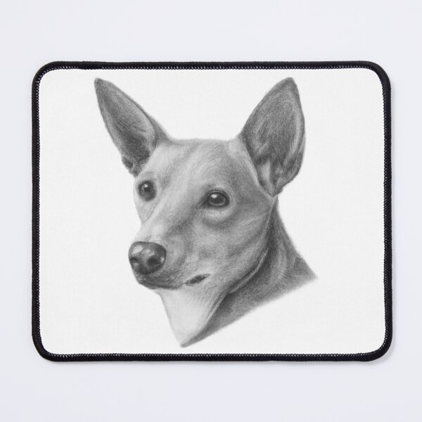 Item preview, Portuguese Podengo Pequeno Drawing | Beautiful Dog Art designed and sold by Portraits of Dogs.