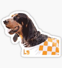 Smokey Sticker