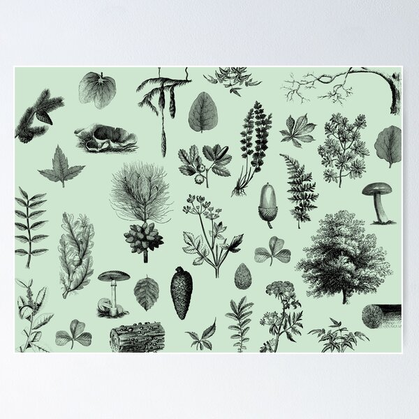 Item preview, Vintage botany forest designed and sold by perfektdesign.