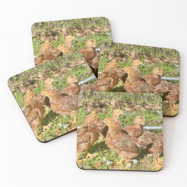 Item preview, A First Frolic designed and sold by Crumbelina.