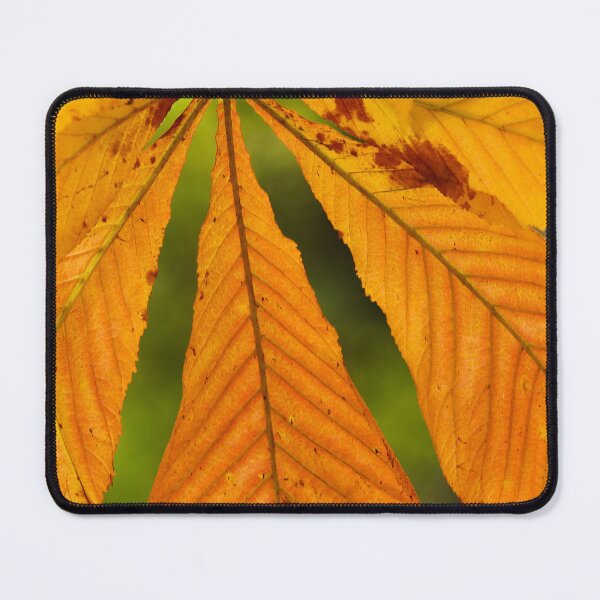 Item preview, Golden Leaf Late Summer Vertical Nature Beauty designed and sold by eddiebarronshop.
