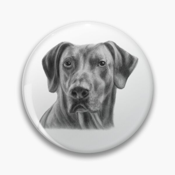 Artikelvorschau, Rhodesische Zeichnung | Schöne Hundekunst entworfen und verkauft von Portraits of Dogs.