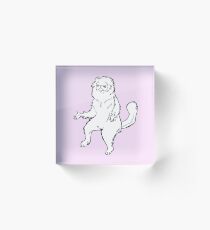 Persian Cat Room Guardian Design Acrylic Block