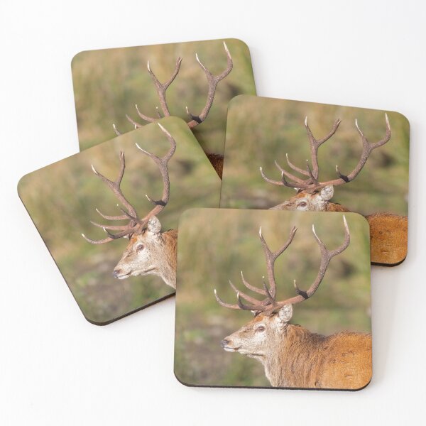 Item preview, Red Deer Stag with Antlers designed and sold by derekbeattie.