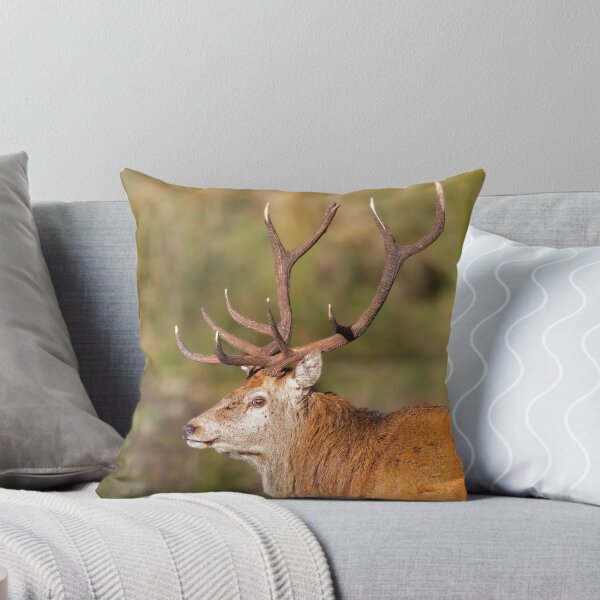 Item preview, Red Deer Stag with Antlers designed and sold by derekbeattie.