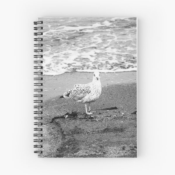 Item preview, Gull at Beach bw Crawfordsburn Northern Ireland designed and sold by eddiebarronshop.