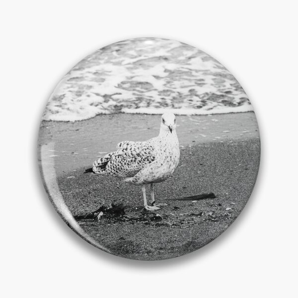 Item preview, Gull at Beach bw Crawfordsburn Northern Ireland designed and sold by eddiebarronshop.