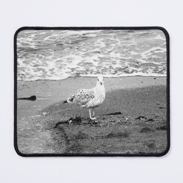Item preview, Gull at Beach bw Crawfordsburn Northern Ireland designed and sold by eddiebarronshop.