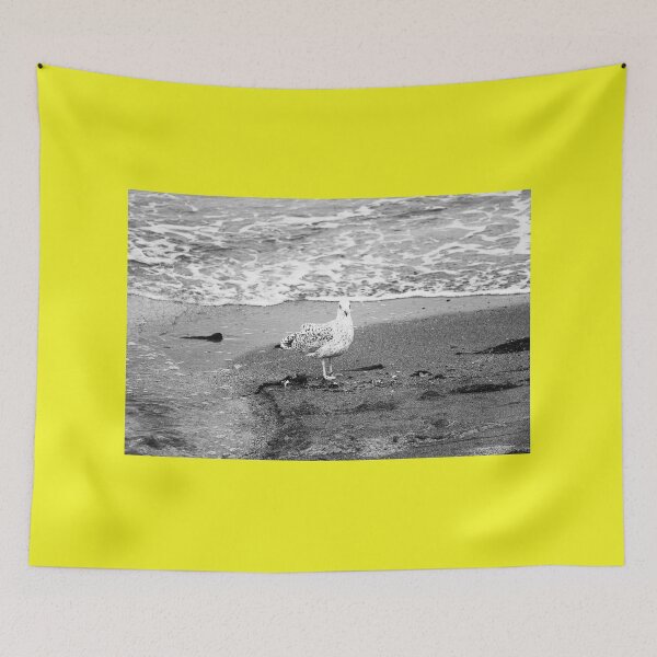 Item preview, Gull at Beach bw Crawfordsburn Northern Ireland designed and sold by eddiebarronshop.