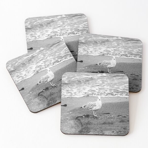 Item preview, Gull at Beach bw Crawfordsburn Northern Ireland designed and sold by eddiebarronshop.