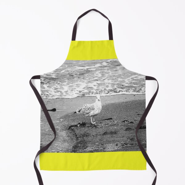 Item preview, Gull at Beach bw Crawfordsburn Northern Ireland designed and sold by eddiebarronshop.