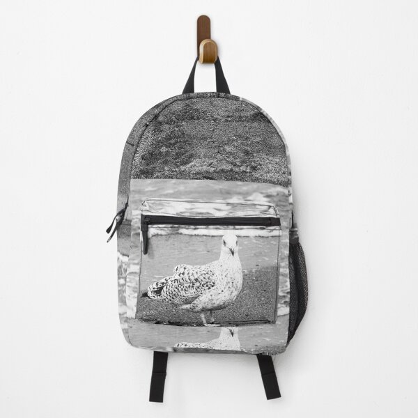 Item preview, Gull at Beach bw Crawfordsburn Northern Ireland designed and sold by eddiebarronshop.
