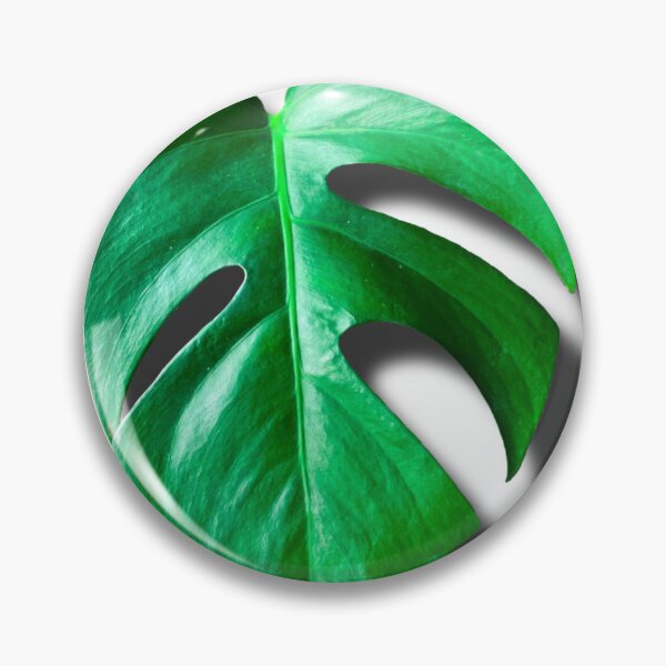 Item preview, Monstera Leaf Sticker designed and sold by theplantgirl116.