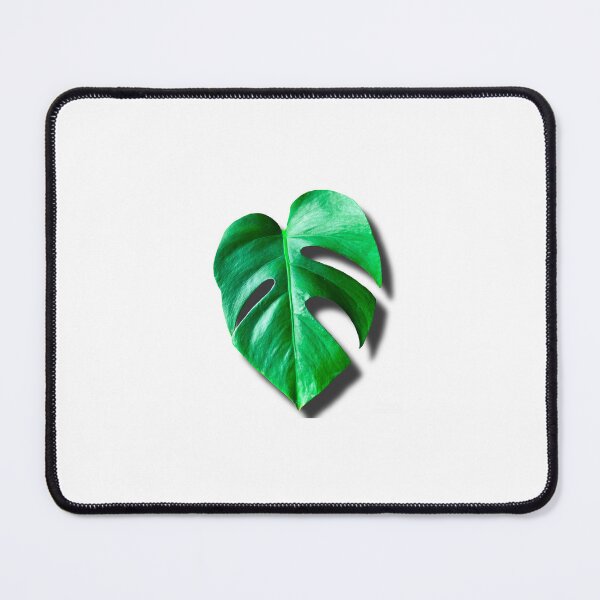 Item preview, Monstera Leaf Sticker designed and sold by theplantgirl116.